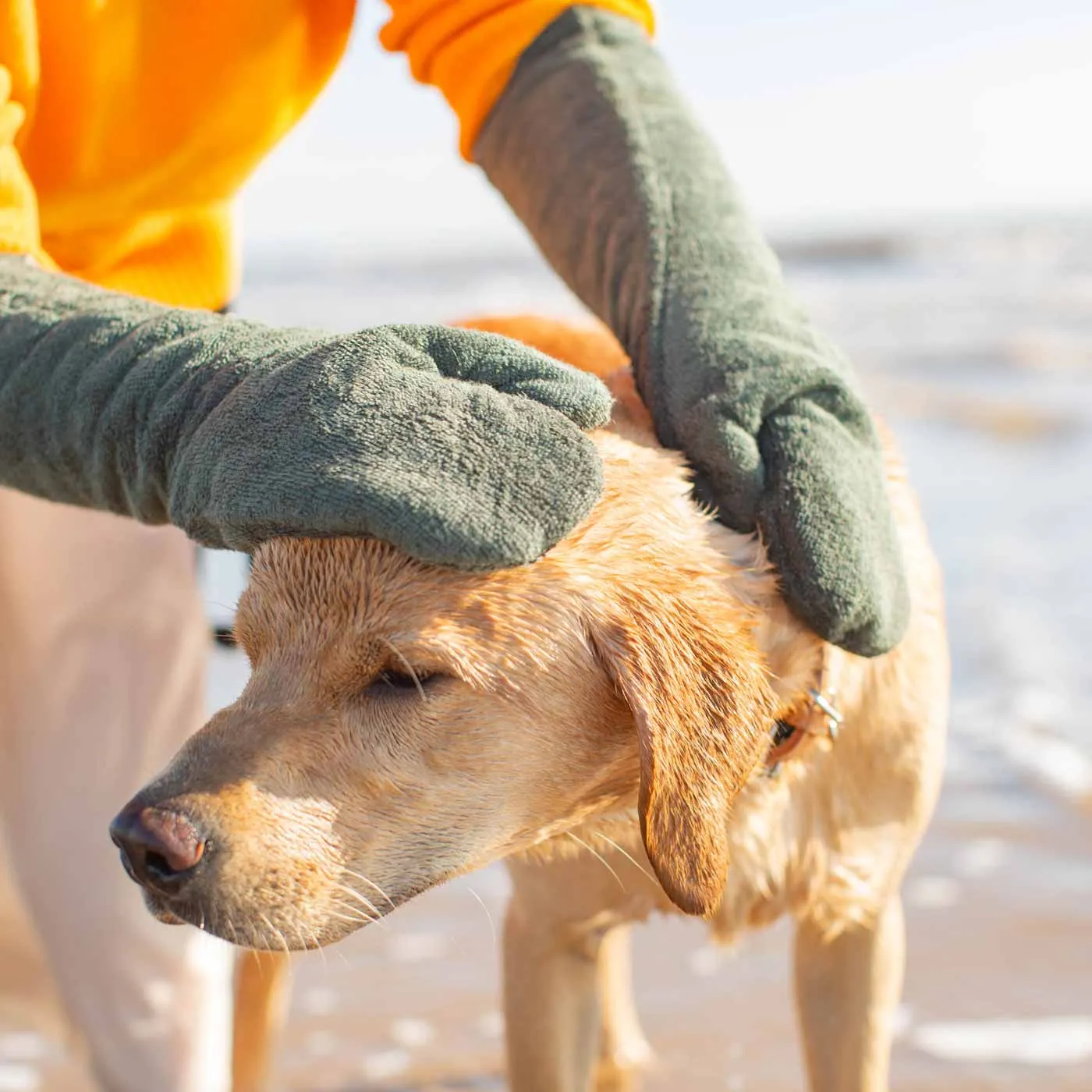 Bamboo Drying Mitts in Fir by Lords & Labradors