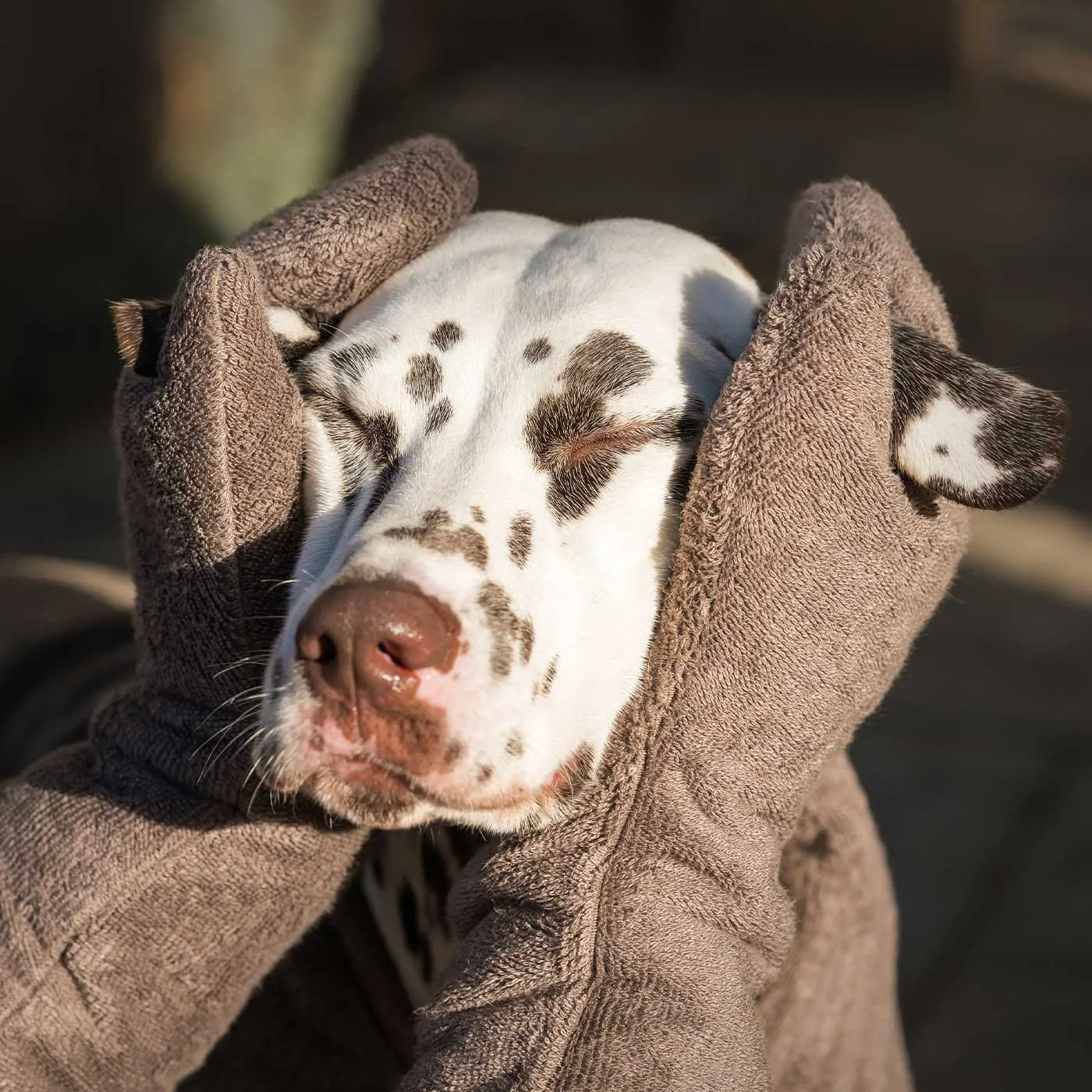 Bamboo Drying Mitts in Mole by Lords & Labradors