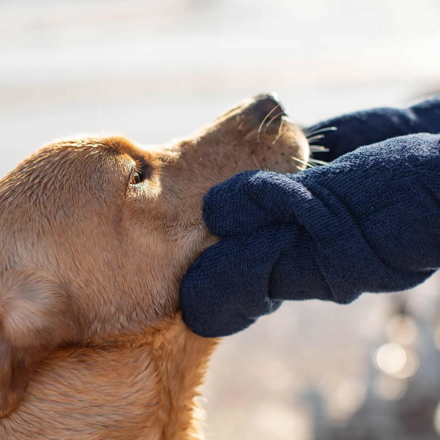 Bamboo Drying Mitts in Navy by Lords & Labradors