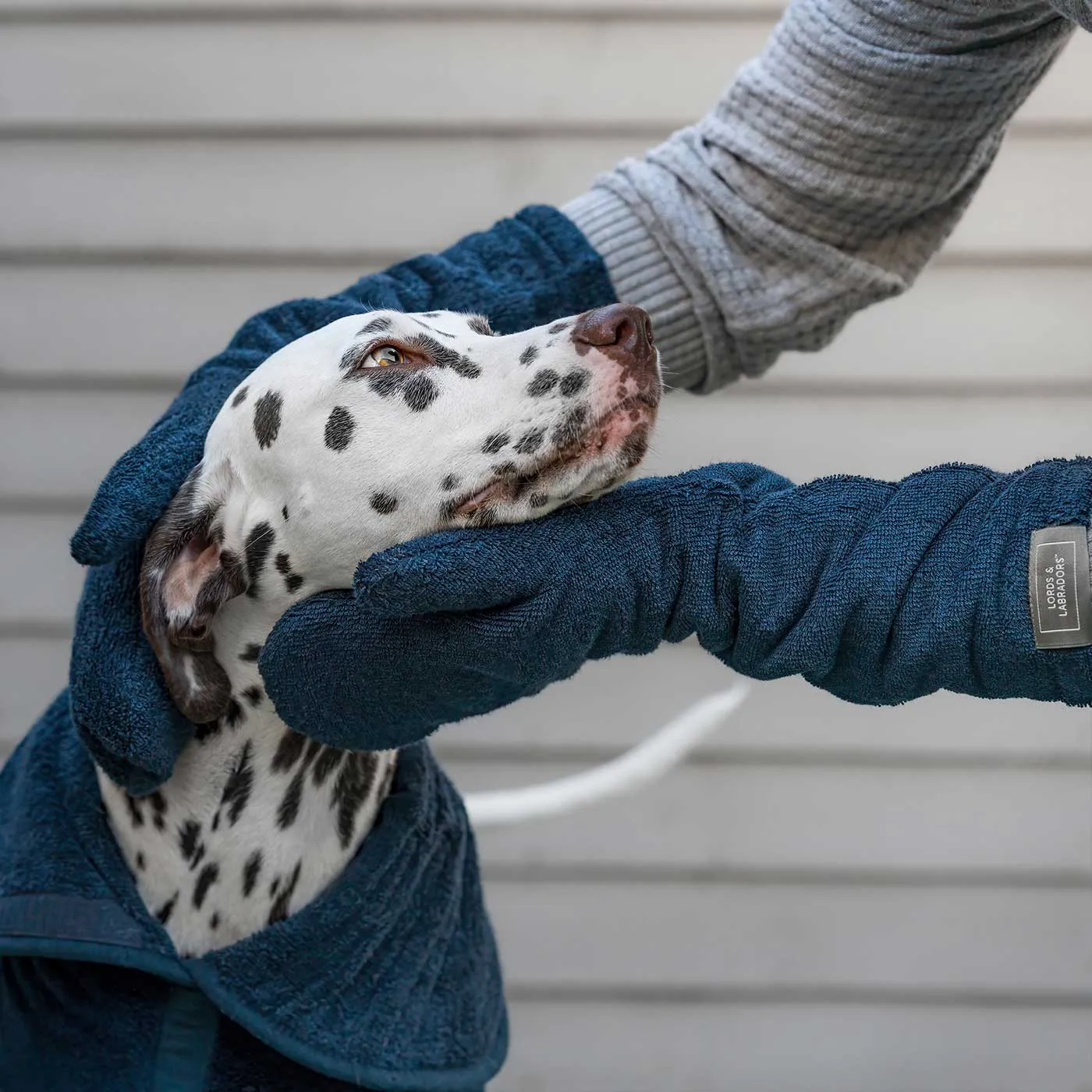 Bamboo Drying Mitts in Navy by Lords & Labradors