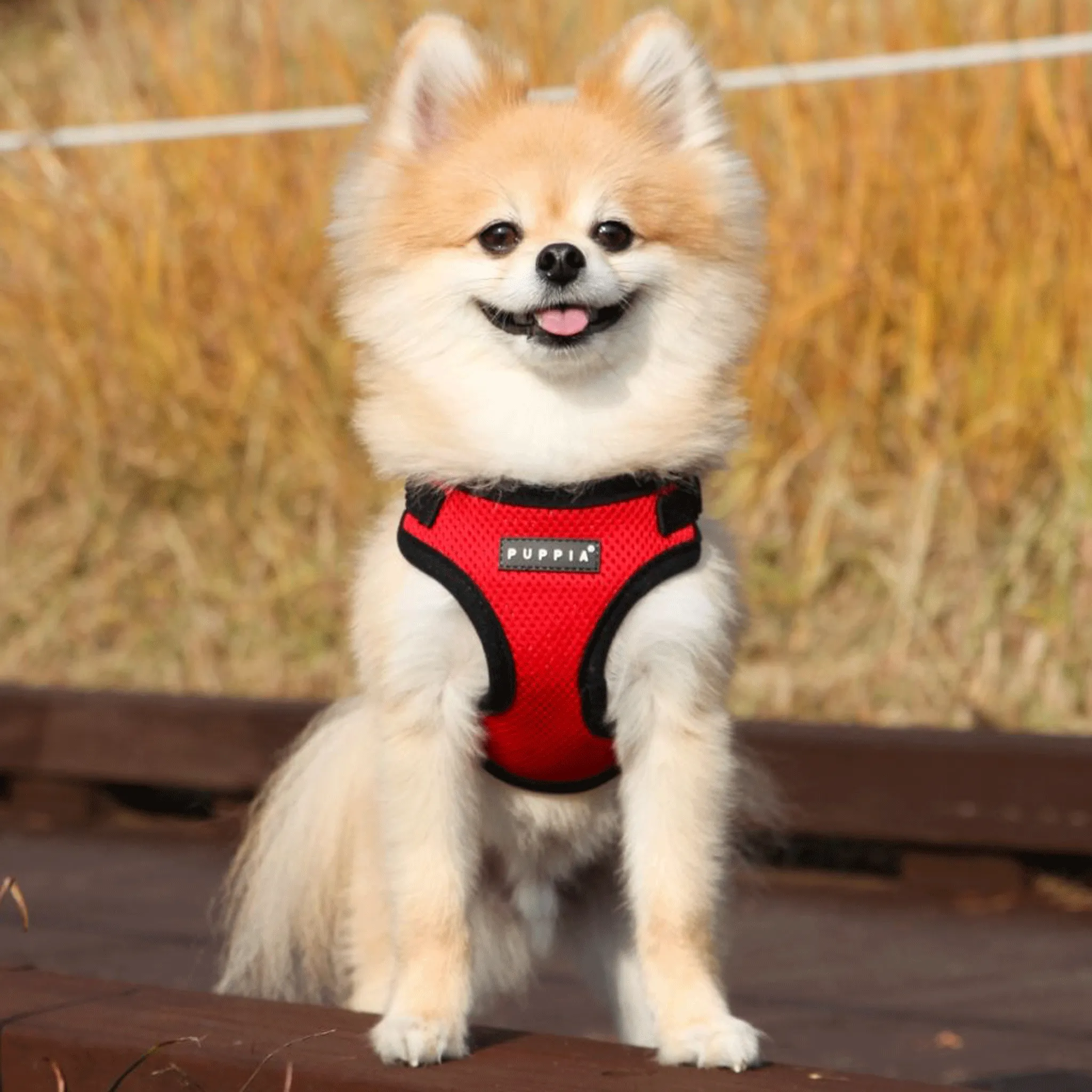 Puppia Red Soft Step-In Harness C